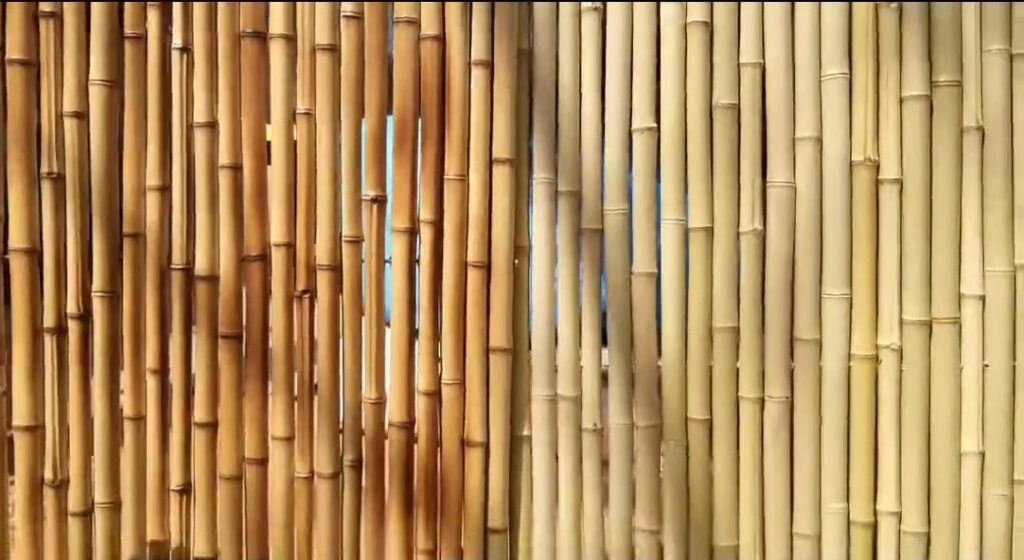 Cerca de bambu clara ou escura 000084