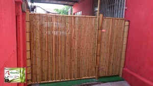 divisórias de bambu cana da índia