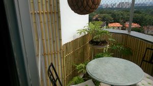 Decorações com bambu cana da índia Decorações com bambu cana da índia