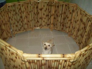 cerca de bambu para contenção de animais