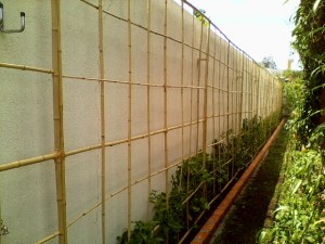 jardim vertical feito em treliças de bambu