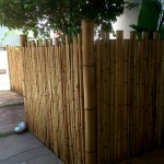 Você vai comprar cerca de bambu para jardim?Achou!! 2 DSC 0007