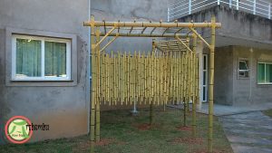 Decorações com bambu cana da índia Decorações com bambu cana da índia