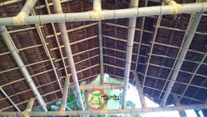 gazebo de bambu coberto com piaçava