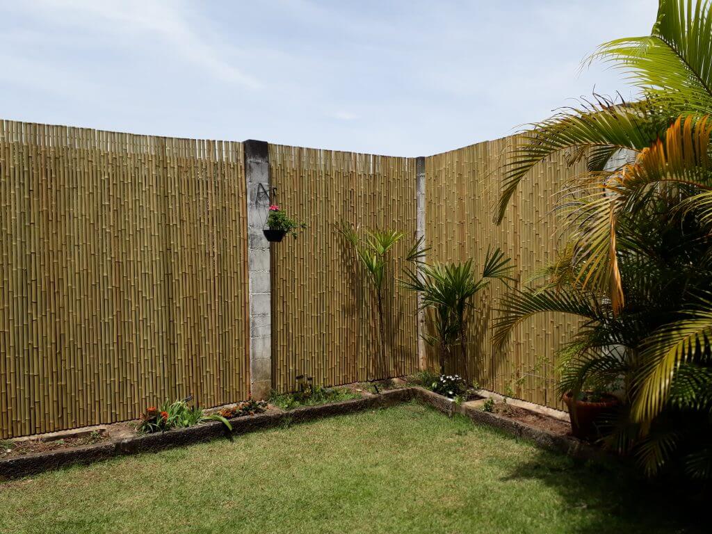 Cerca de bambu tratado