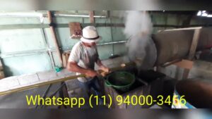 Nossos vídeos de trabalhos com bambu 1 veja como o bambu é tratado