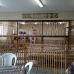 Divisória de bambu cana da índia artística