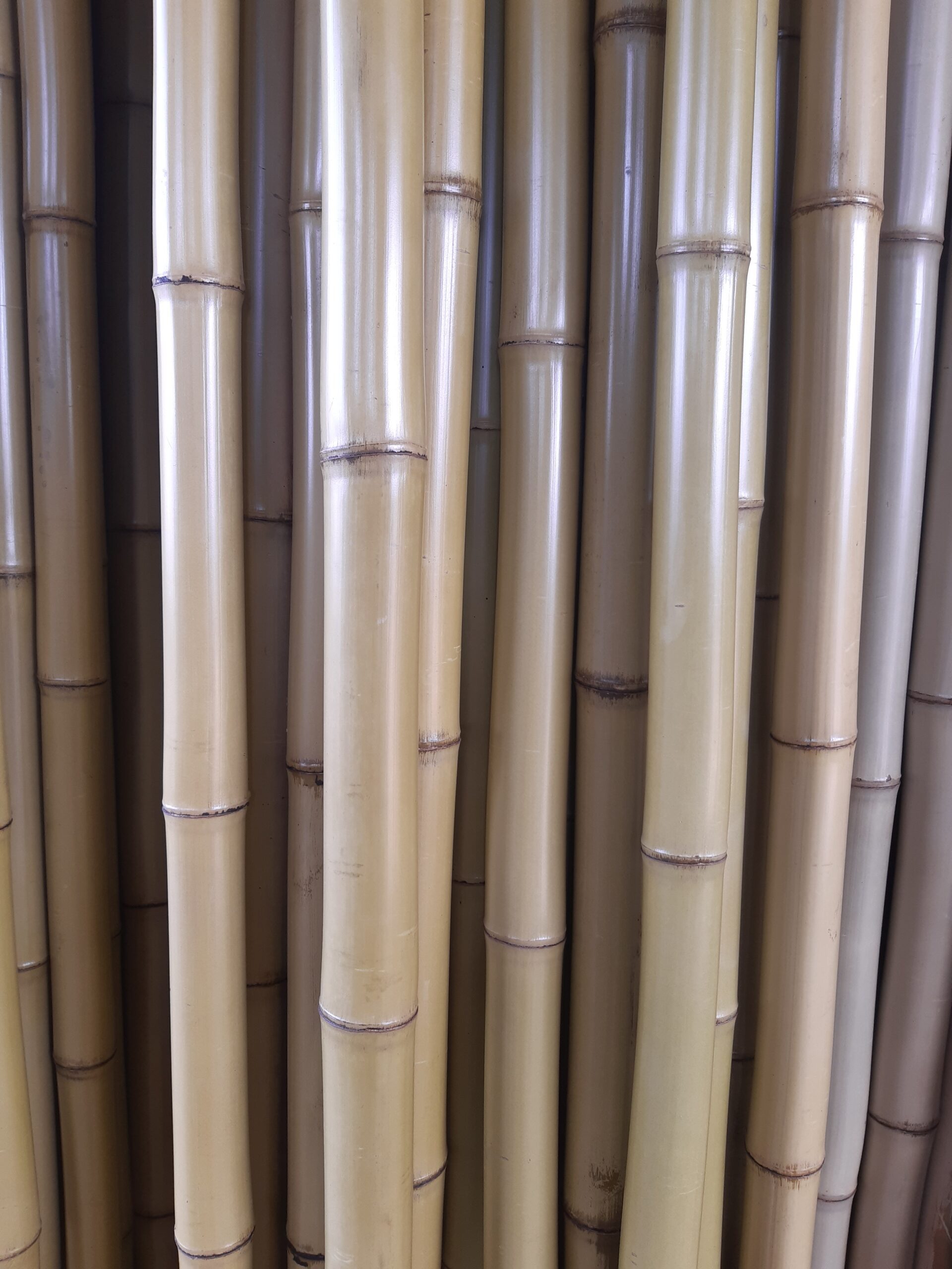 Utilizando o bambu para privacidade: painéis, barreiras e decoração 10 Usar bambu para privacidade