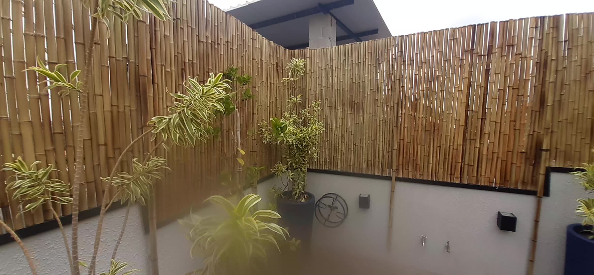 Utilizando o bambu para privacidade: painéis, barreiras e decoração 2 usar bambu para privacidade