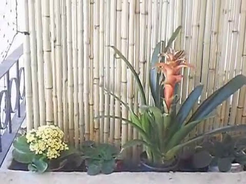 Painel de bambu na decoração. 2 Bambu na decoração de jardim