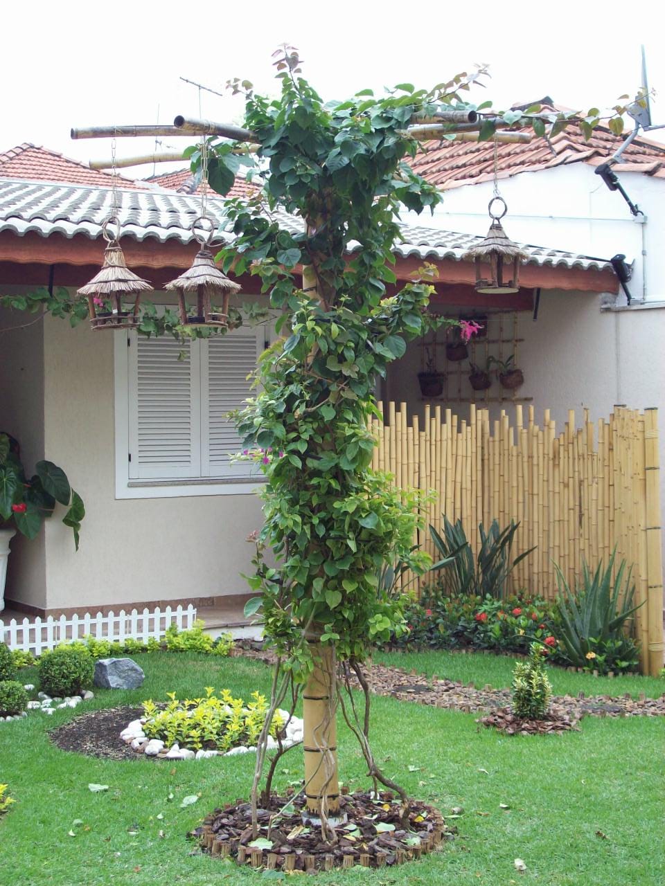 Móveis e decorações de bambu para comércio 5 criar areas privada com bambu