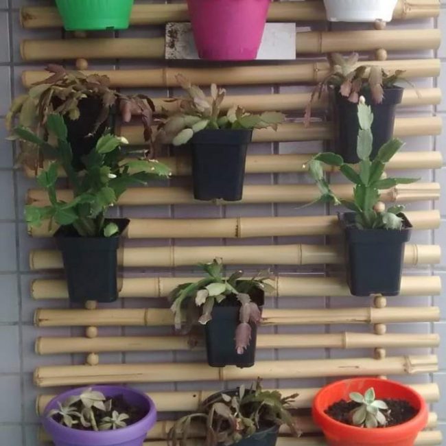 C681BA1BO suporte para plantas